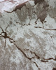 BRIGHT 30703-065 BRIGHT 30703-065