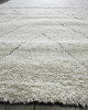 Ideal Shaggy 67007-670 Ideal Shaggy 67007-670